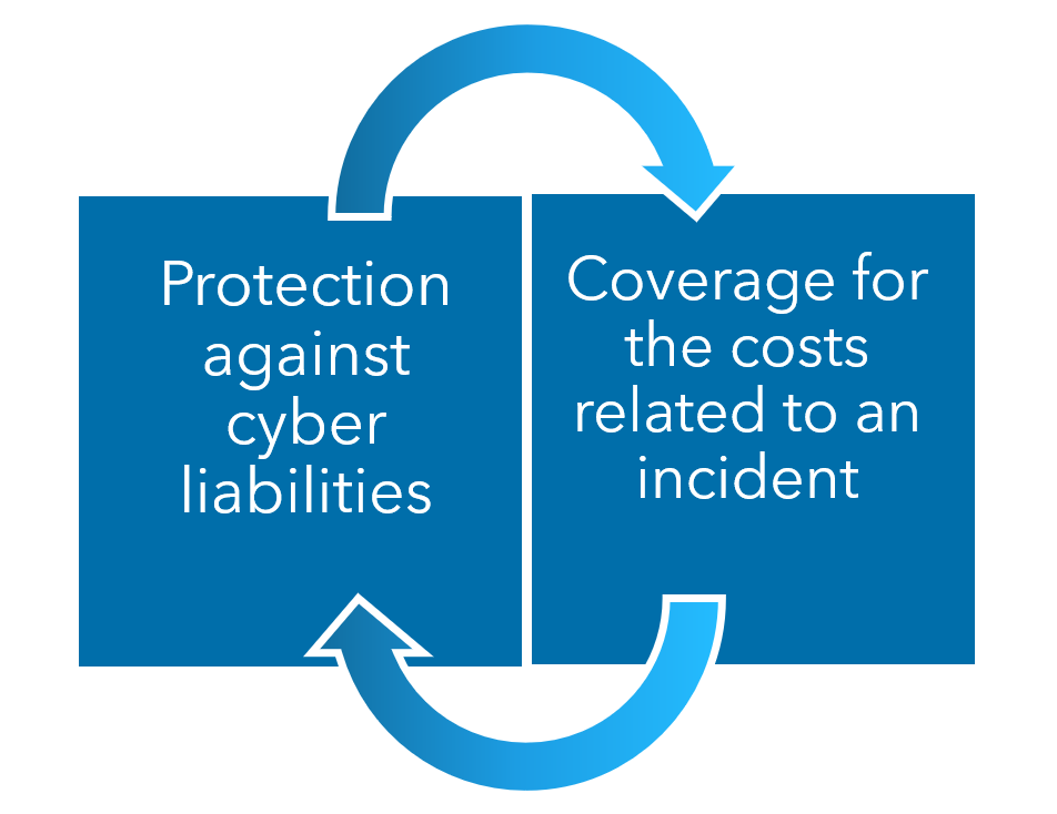 Cybersecurity insurance aspects image