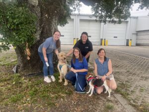 Pensacola Animal Volunteering