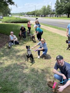 Huntsville Animal volunteer