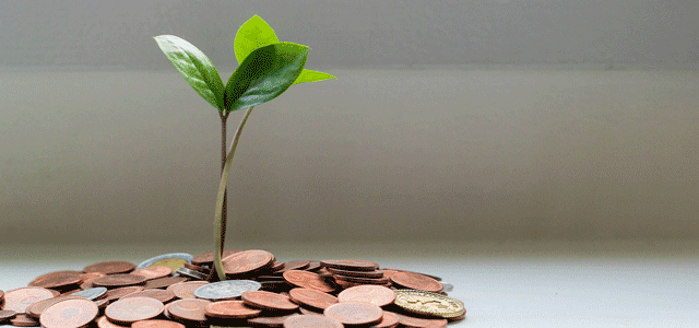 One Big Beautiful Bill Qualified Small Business Stock Image