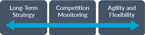 Long-Term Strategy, Competition Monitoring, Agility and Flexibility