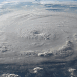 Hurricane Debby tax relief image