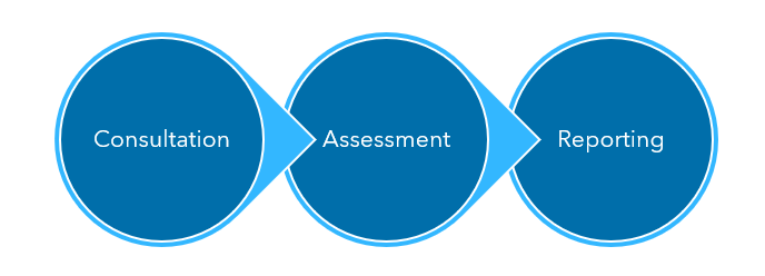 vulnerability assessment services process image